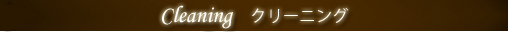 Cleaning　 クリーニング